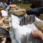 5 Sayuran Berprotein Tinggi, Sehat dan Pasti Enak