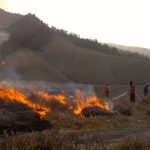 9 Cara Membersihkan Paru-Paru Kotor secara Alami