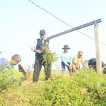 Pj Gubernur Sumsel Fatoni Launching Mall Pelayanan Publik Muara Enim