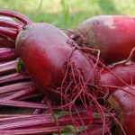 5 Ciri-ciri Kolesterol Naik Usai Makan Daging Kurban